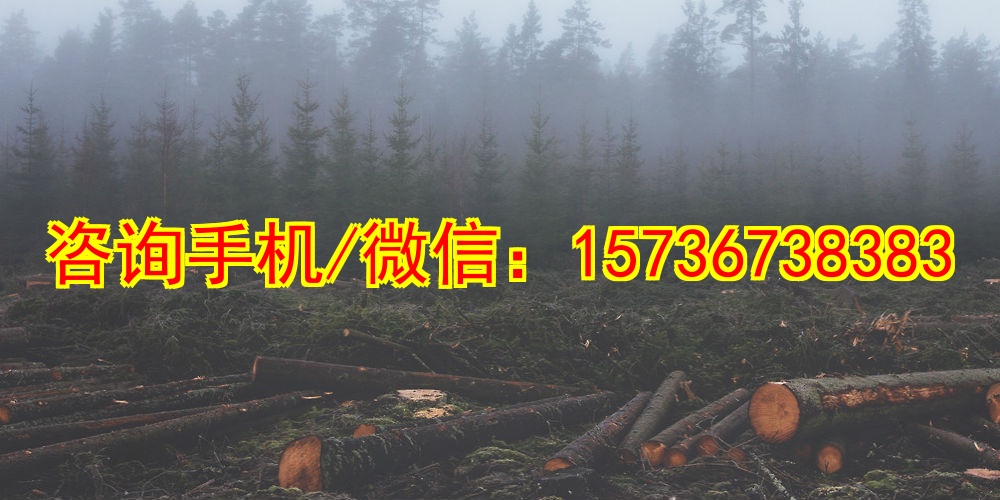 盐城代妈白酒批发