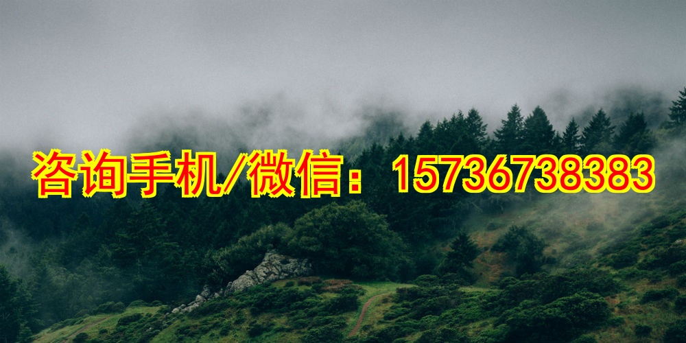 盐城代母黄酒清酒